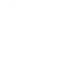 icon-2-1